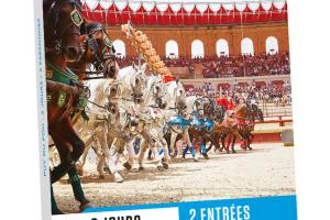Puy du Fou 2 jours