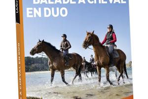 Balade à cheval en duo