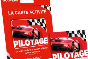 Carte Activité Pilotage