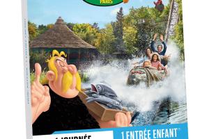 Parc Astérix - 1 entrée enfant