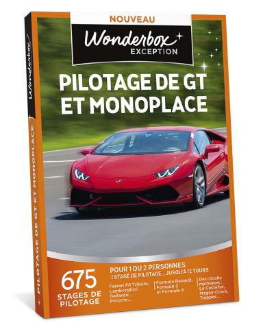 Pilotage de GT et monoplace Pilotage de GT et monoplace
